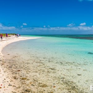 MASTER ABROLHOS SLIDESHOW 2018 385