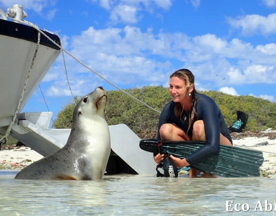 MASTER ABROLHOS SLIDESHOW 2018 398