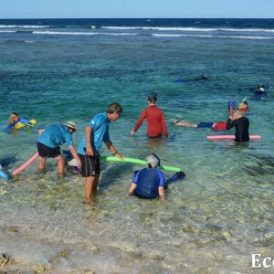 MASTER ABROLHOS SLIDESHOW 2018 404