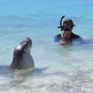 MASTER ABROLHOS SLIDESHOW 2018 408