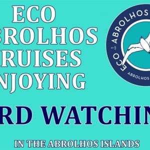 MASTER ABROLHOS SLIDESHOW 2018 410