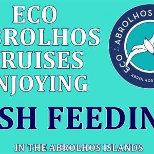 MASTER ABROLHOS SLIDESHOW 2018 444