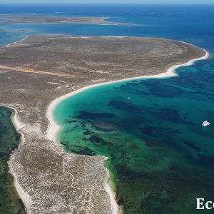 MASTER ABROLHOS SLIDESHOW 2018 472