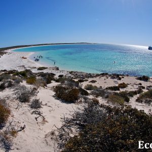 MASTER ABROLHOS SLIDESHOW 2018 475