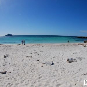 MASTER ABROLHOS SLIDESHOW 2018 476
