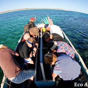 MASTER ABROLHOS SLIDESHOW 2018 477