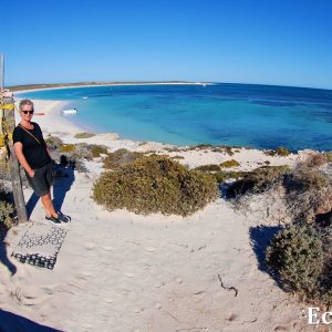 MASTER ABROLHOS SLIDESHOW 2018 479