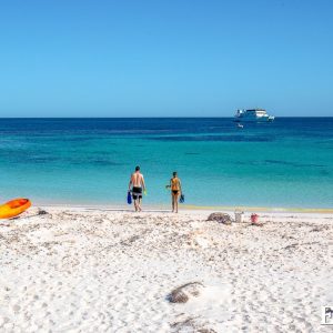 MASTER ABROLHOS SLIDESHOW 2018 491