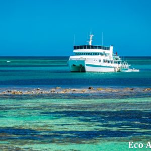 MASTER ABROLHOS SLIDESHOW 2018 502
