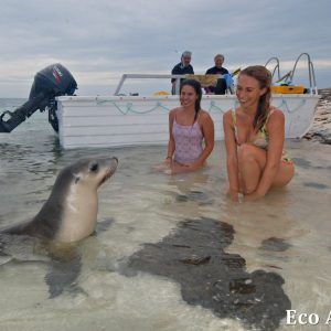 MASTER ABROLHOS SLIDESHOW 2018 505