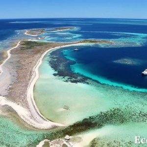 MASTER ABROLHOS SLIDESHOW 2018 506