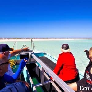 MASTER ABROLHOS SLIDESHOW 2018 507