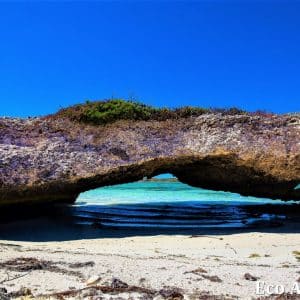 MASTER ABROLHOS SLIDESHOW 2018 509