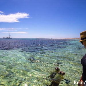 MASTER ABROLHOS SLIDESHOW 2018 512