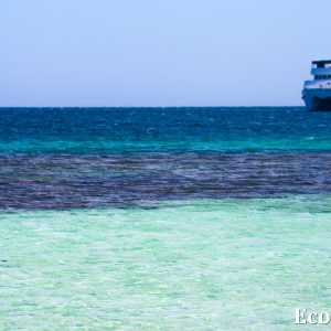 MASTER ABROLHOS SLIDESHOW 2018 515
