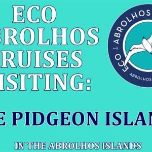 MASTER ABROLHOS SLIDESHOW 2018 518