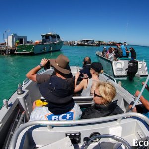 MASTER ABROLHOS SLIDESHOW 2018 521