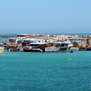 MASTER ABROLHOS SLIDESHOW 2018 522