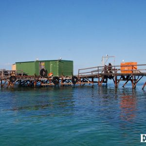 MASTER ABROLHOS SLIDESHOW 2018 524