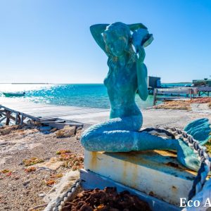 MASTER ABROLHOS SLIDESHOW 2018 526