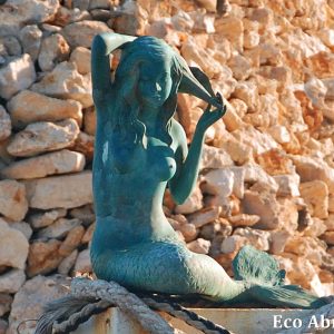 MASTER ABROLHOS SLIDESHOW 2018 527