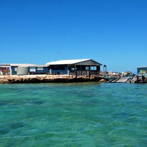 MASTER ABROLHOS SLIDESHOW 2018 528