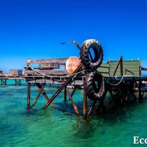 MASTER ABROLHOS SLIDESHOW 2018 529