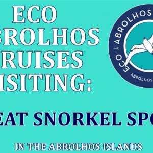 MASTER ABROLHOS SLIDESHOW 2018 530