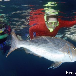 MASTER ABROLHOS SLIDESHOW 2018 546