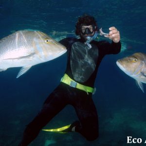 MASTER ABROLHOS SLIDESHOW 2018 547