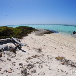 MASTER ABROLHOS SLIDESHOW 2018 549