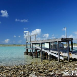 MASTER ABROLHOS SLIDESHOW 2018 551