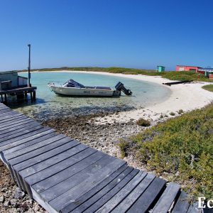 MASTER ABROLHOS SLIDESHOW 2018 552
