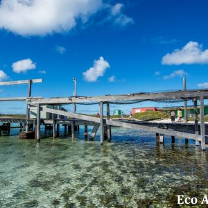 MASTER ABROLHOS SLIDESHOW 2018 555