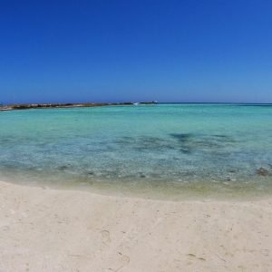 MASTER ABROLHOS SLIDESHOW 2018 556