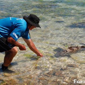 MASTER ABROLHOS SLIDESHOW 2018 563