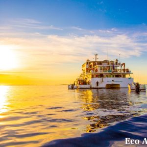 MASTER ABROLHOS SLIDESHOW 2018 567