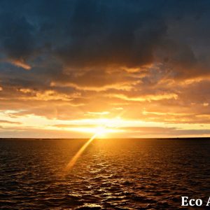 MASTER ABROLHOS SLIDESHOW 2018 570