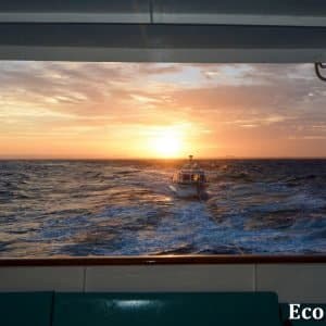 MASTER ABROLHOS SLIDESHOW 2018 574