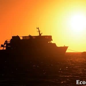 MASTER ABROLHOS SLIDESHOW 2018 575
