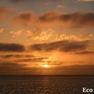 MASTER ABROLHOS SLIDESHOW 2018 576