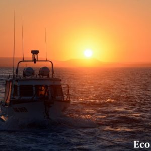 MASTER ABROLHOS SLIDESHOW 2018 577
