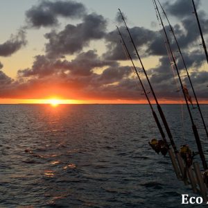 MASTER ABROLHOS SLIDESHOW 2018 580