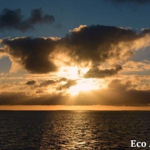 MASTER ABROLHOS SLIDESHOW 2018 582