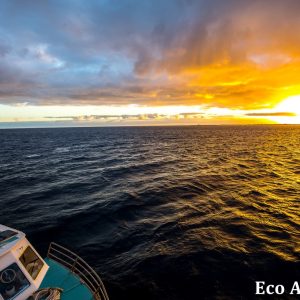MASTER ABROLHOS SLIDESHOW 2018 585