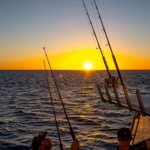 MASTER ABROLHOS SLIDESHOW 2018 586