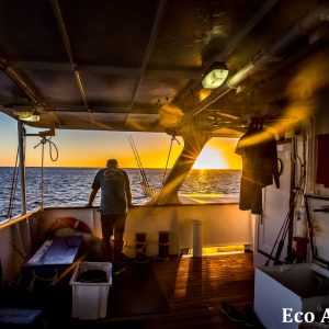 MASTER ABROLHOS SLIDESHOW 2018 587