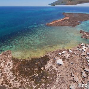 MASTER ABROLHOS SLIDESHOW 2018 591