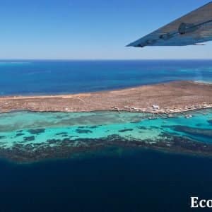 MASTER ABROLHOS SLIDESHOW 2018 592