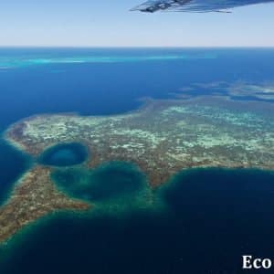 MASTER ABROLHOS SLIDESHOW 2018 593